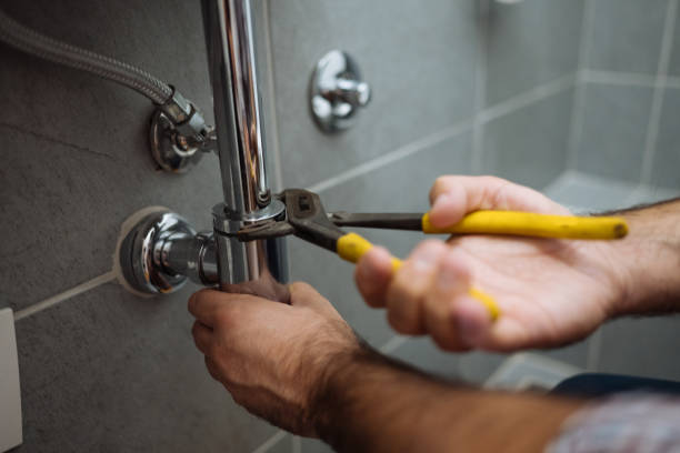 Best Local Plumber Services  in Sierra Ridge, CO